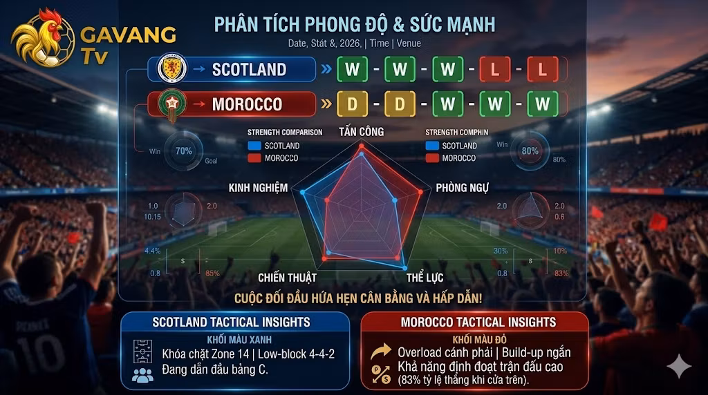 Biểu đồ phân tích phong độ, thống kê sức mạnh và tỷ lệ thắng trận Scotland vs Morocco tại World Cup 2026.